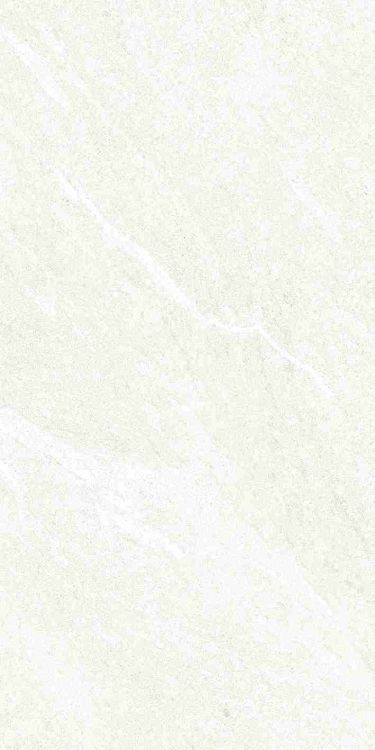 Dhara White Matte 12 x 24